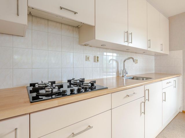 Plein 1953 244, Rotterdam