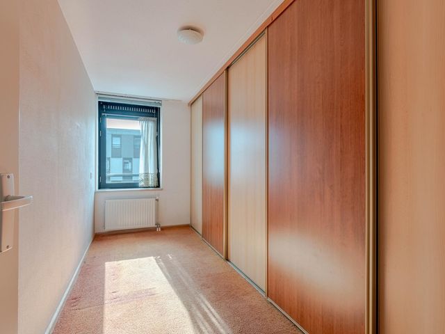 Plein 1953 244, Rotterdam