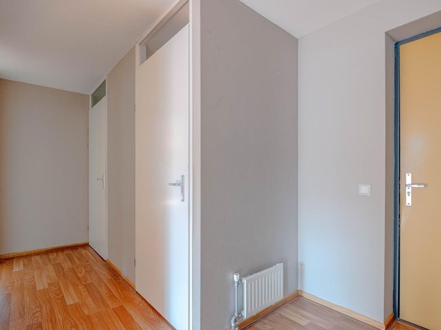 Plein 1953 244, Rotterdam