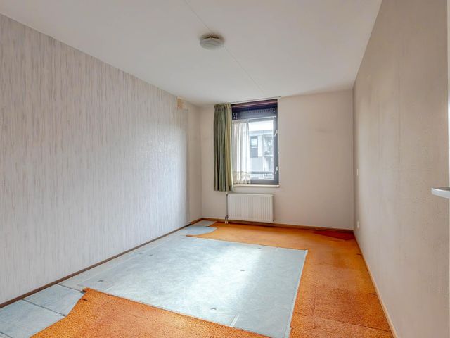 Plein 1953 244, Rotterdam