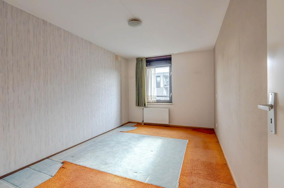 Plein 1953 244