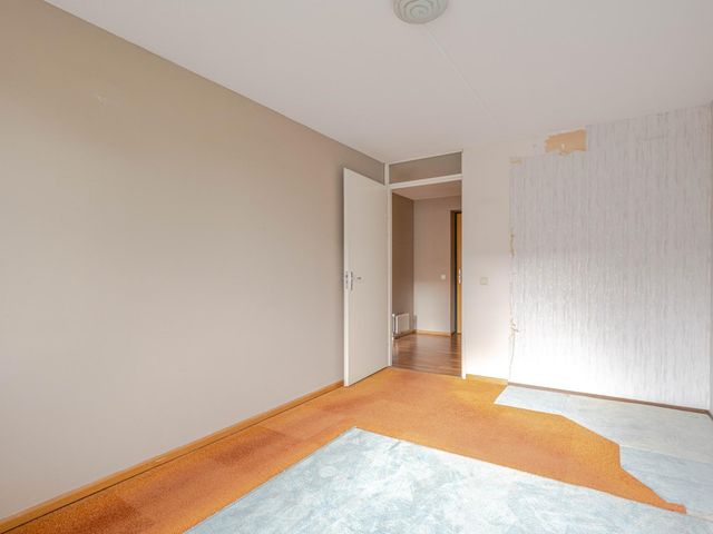 Plein 1953 244, Rotterdam