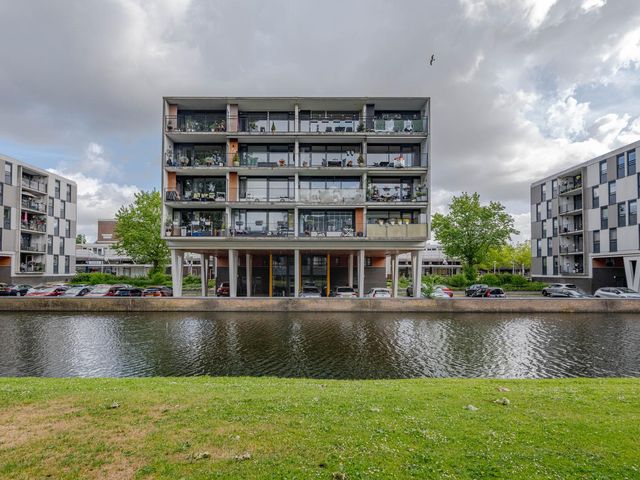 Plein 1953 244, Rotterdam