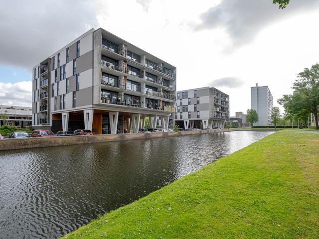 Plein 1953 244, Rotterdam