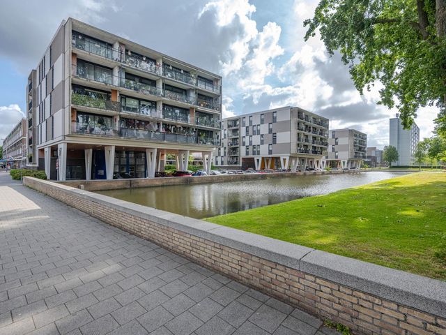 Plein 1953 244, Rotterdam