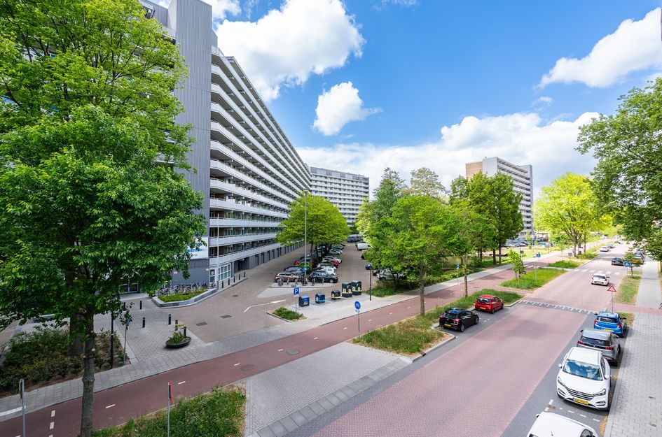 Griegplein 67