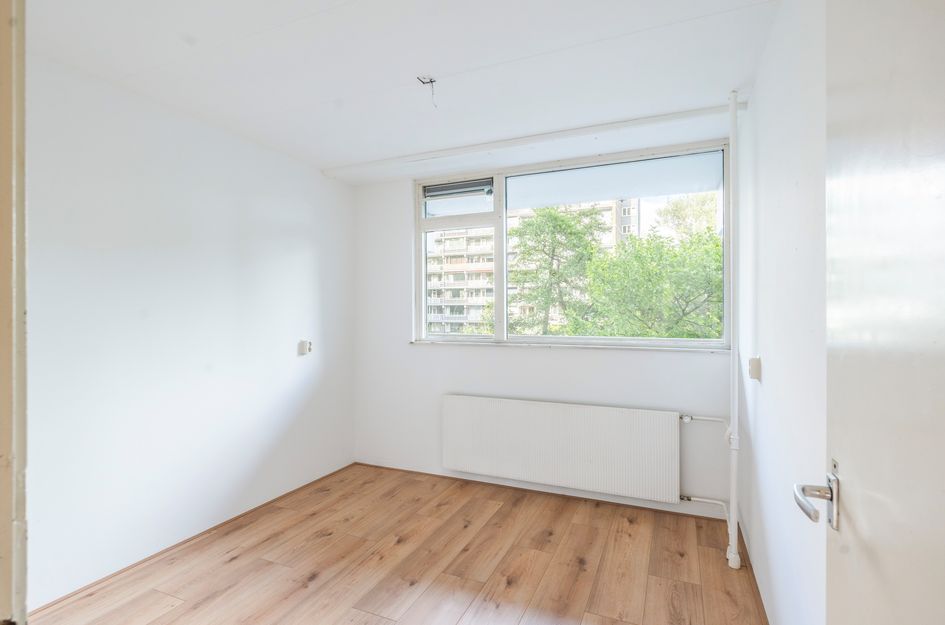 Griegplein 67