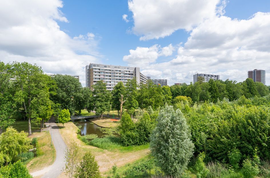 Griegplein 67