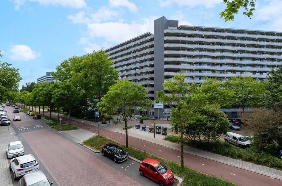Griegplein 91