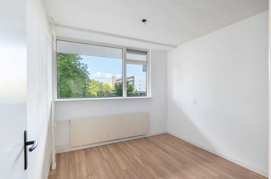 Griegplein 91