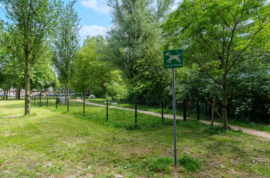Griegplein 91