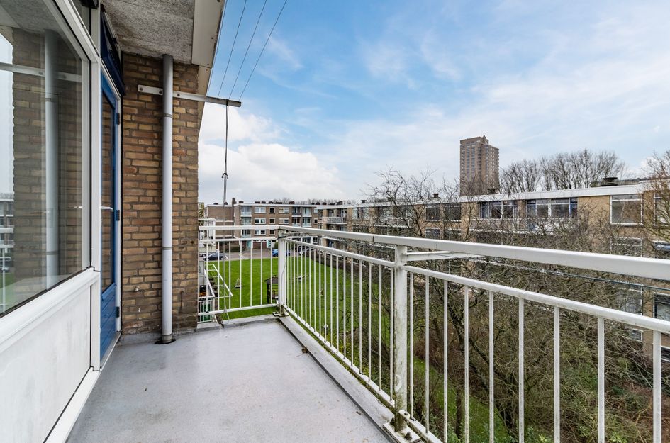 Van Der Haertstraat 45