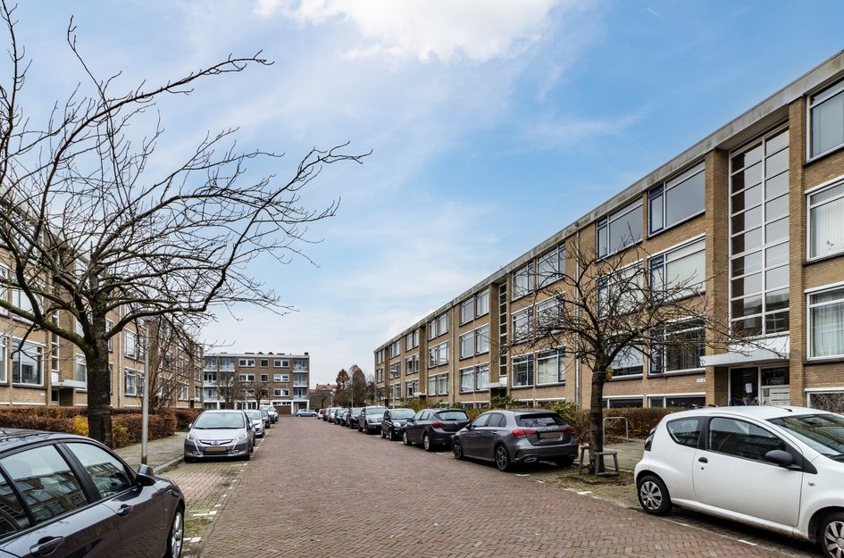 Van Der Haertstraat 45