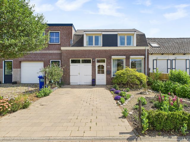 Reuzenhoek 40, Zaamslag