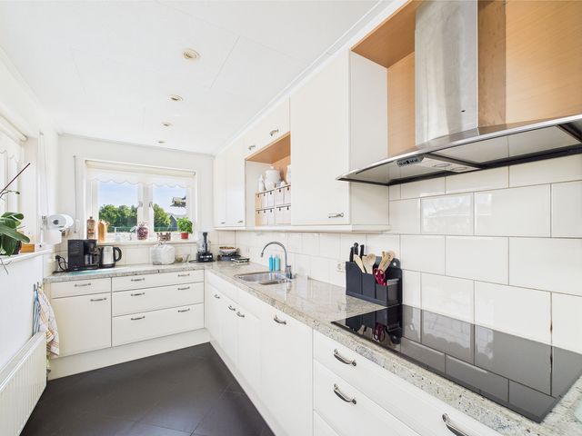 Reuzenhoek 40, Zaamslag