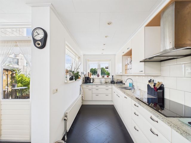 Reuzenhoek 40, Zaamslag