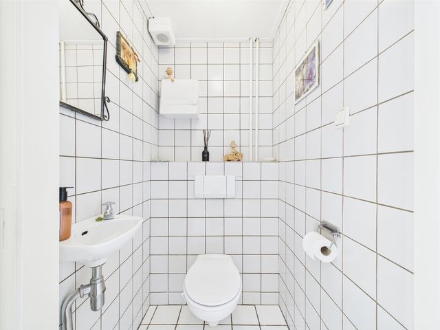 Reuzenhoek 40, Zaamslag