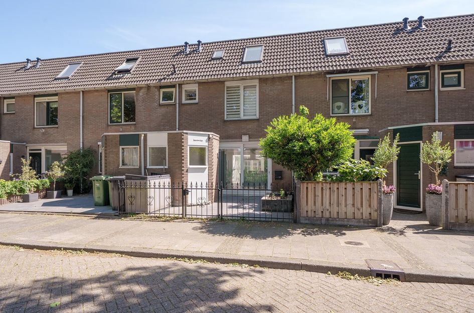 Gemshoorn 20