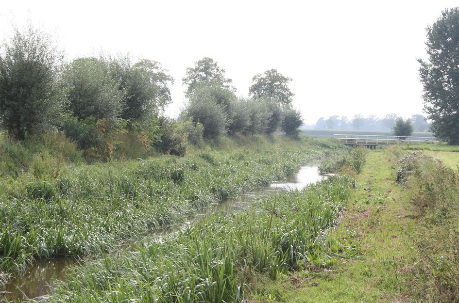 Crommentuijnstraat 47bij