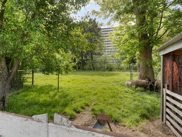 's-Gravenweg 356, Capelle aan den IJssel