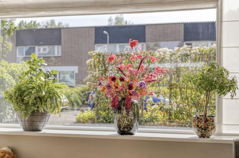 van Ostadelaan 81