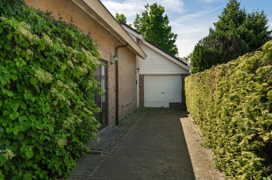 Galerij 8