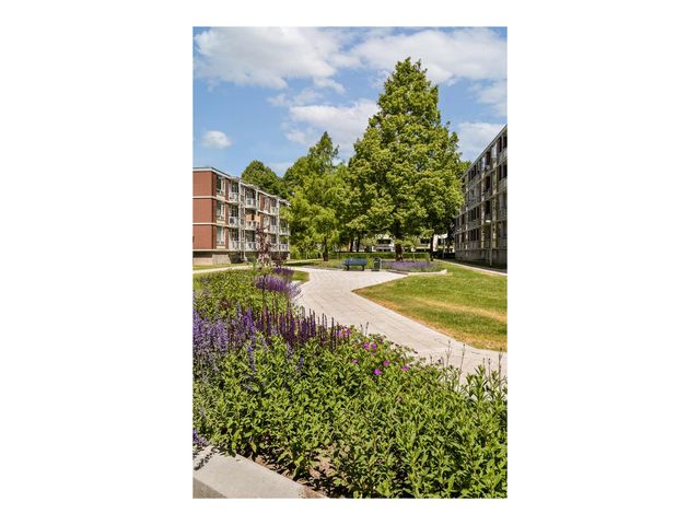 Vaarnerkamp 98, Rotterdam