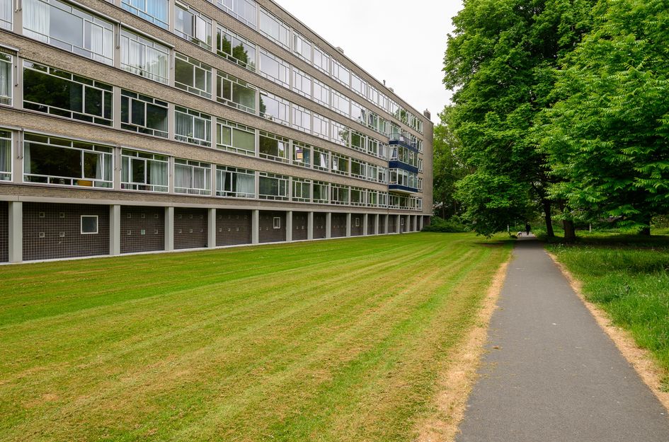 Smaragdhorst 100