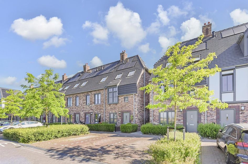 Zonnebaars 53