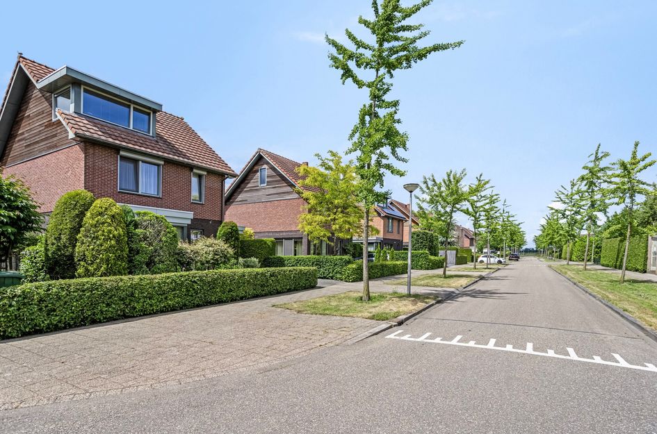 Liesgras 1