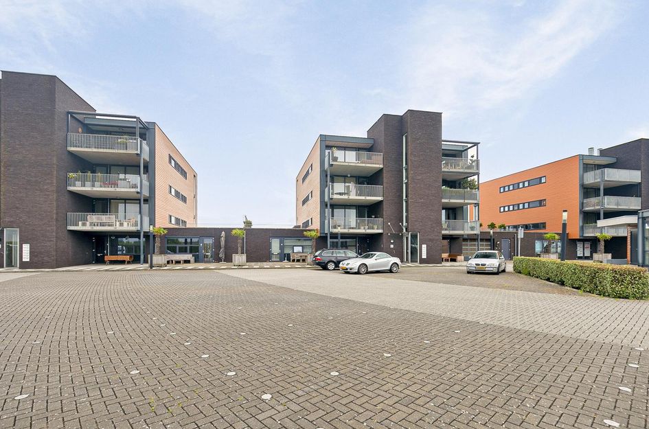 't Scheld 38