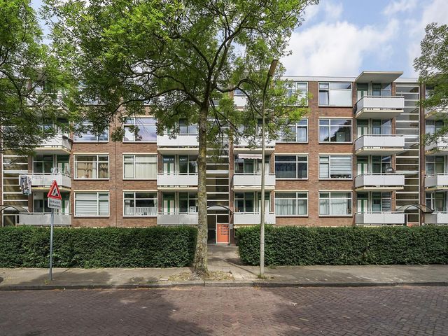 Steenzicht 99, 'S-Gravenhage