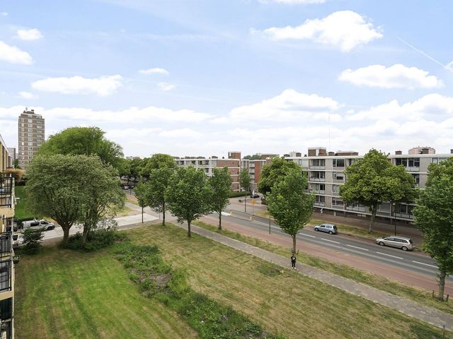 Steenzicht 99, 'S-Gravenhage