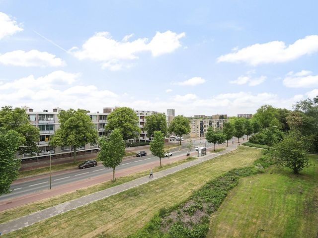 Steenzicht 99, 'S-Gravenhage