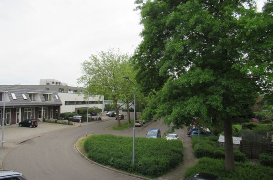 Jan van Gentstraat 110