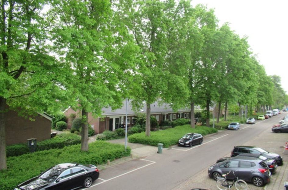 Jan van Gentstraat 110