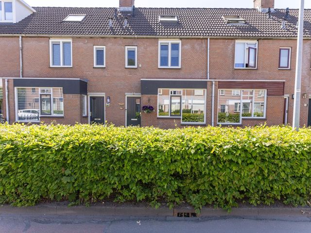 Paardebloem 12, Zwaag