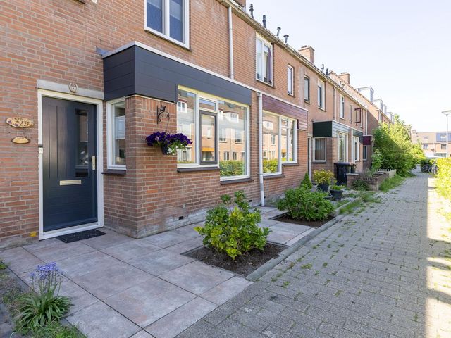 Paardebloem 12, Zwaag