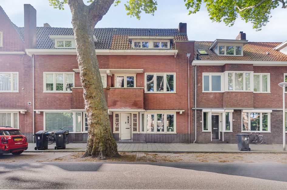 Zuidzijde Zoom 36