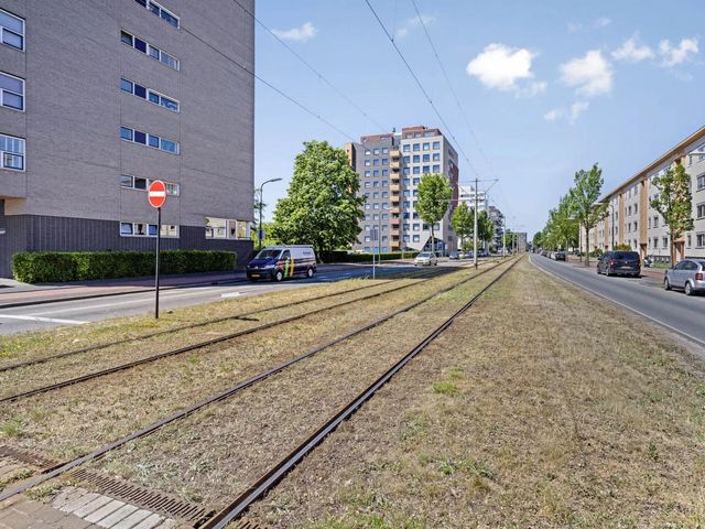 Dedemsvaartweg 1385, 'S-Gravenhage