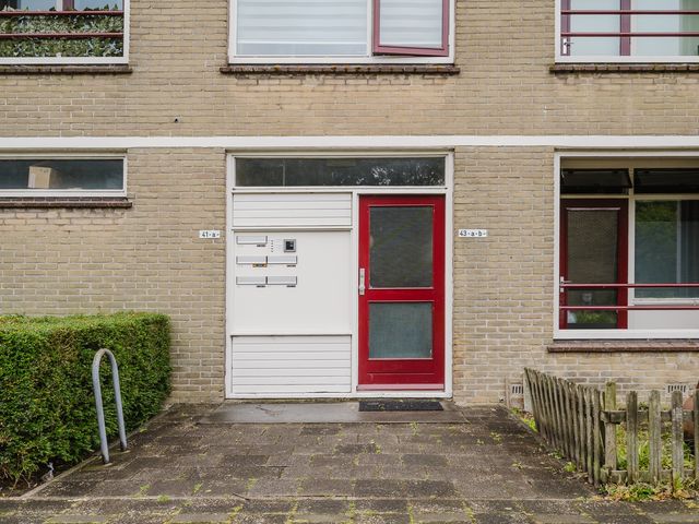 Frans Halsstraat 41, Spijkenisse