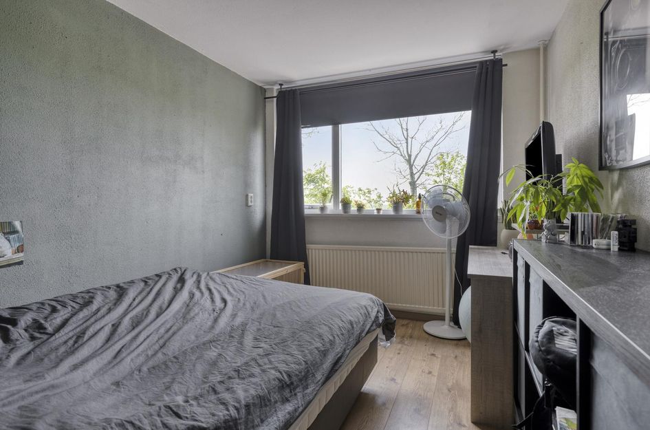de Roos 24