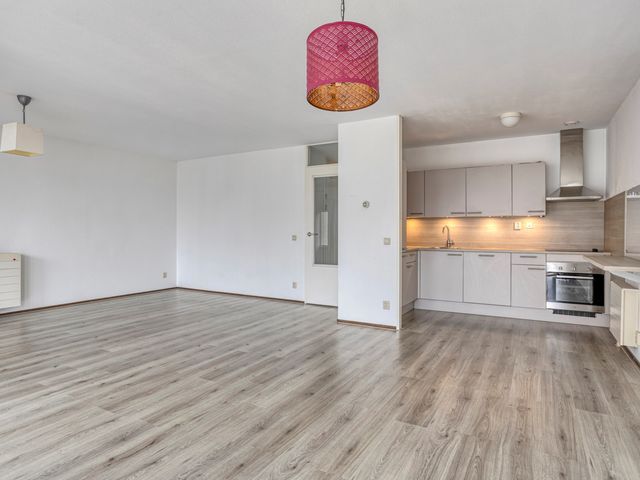 Palaceplein 84, Den Haag