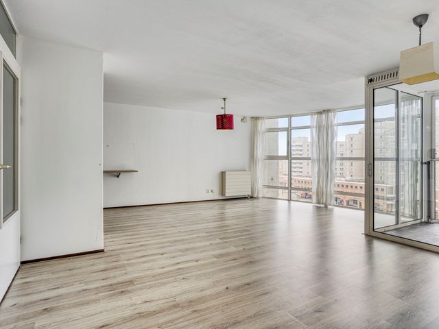 Palaceplein 84, Den Haag