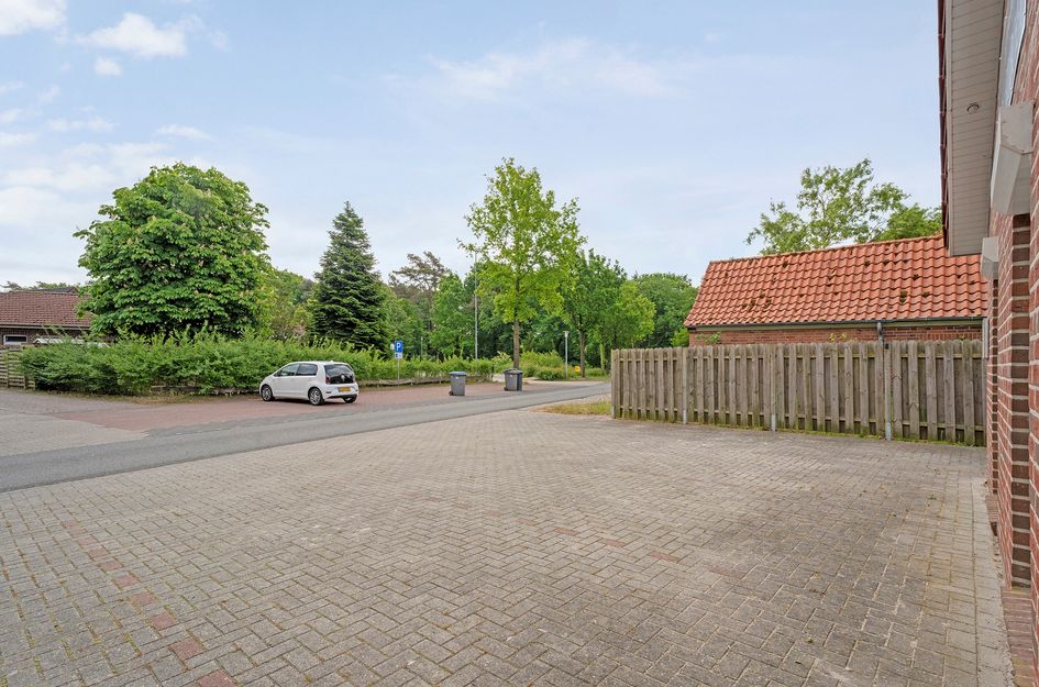 Ossenweg 3-D  