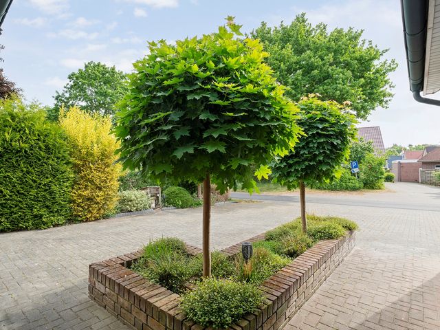 Ossenweg 3-D  , Walchum