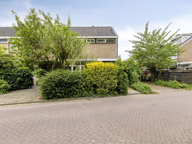 Vliet 12, Maasdam