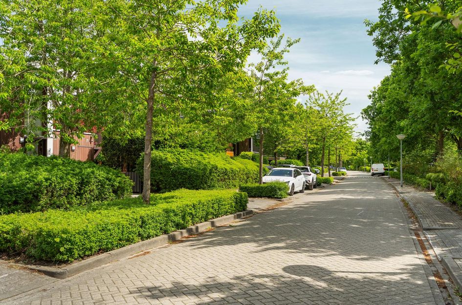Diadeemstraat 102