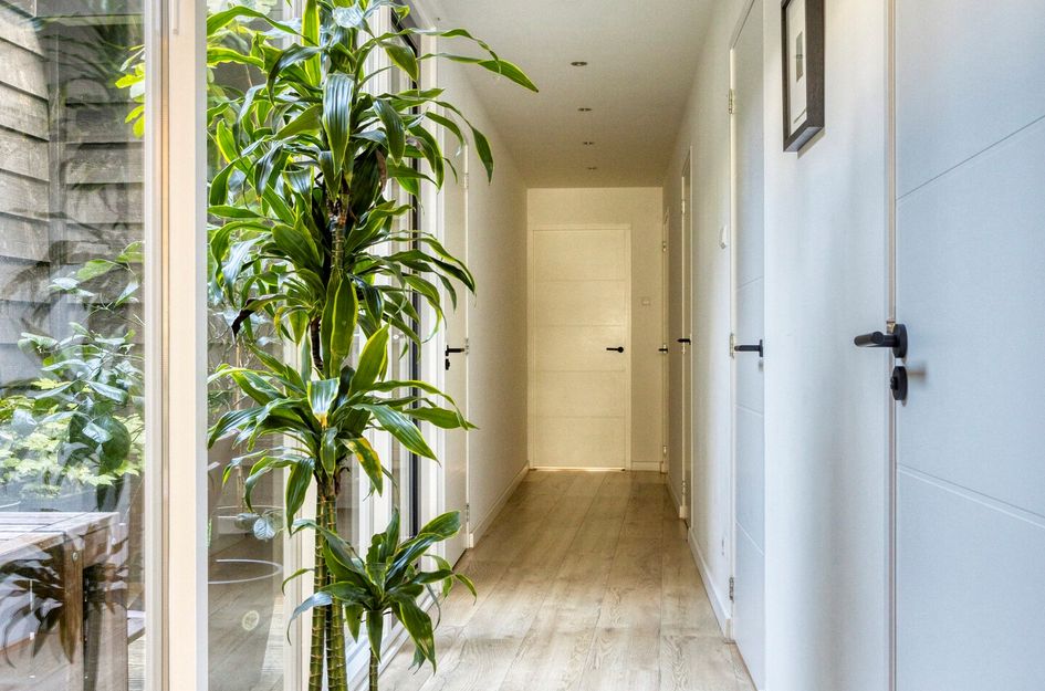 Tollensstraat 47B