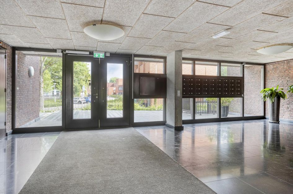 Boomstraat 124